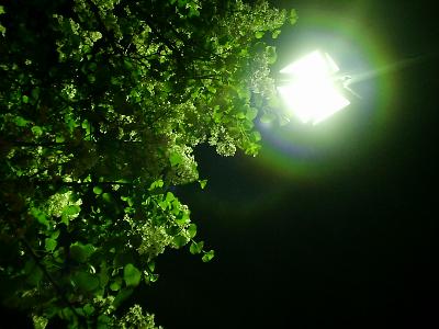 尼崎の税理士が解説｜中小企業の「良い決算書」とは