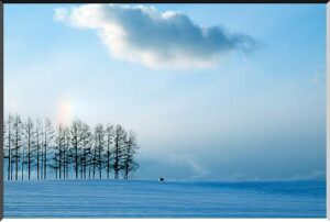 尼崎の税理士法人松野茂税理士事務所 青色申告の特典（個人）