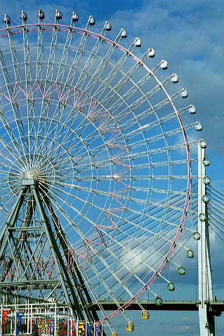 尼崎の税理士法人松野茂税理士事務所　業務の流れ