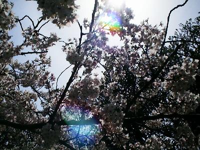 税理士法人松野茂税理士事務所　相続税の代償分割を尼崎の税理士が徹底解説 | 小規模宅地特例との関係に注意