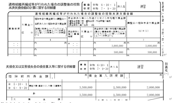 組織再編　繰越欠損金の引継　明細
