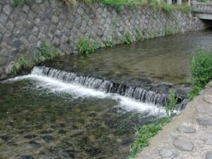 税理士法人松野茂是利子事務所尼崎の税理士が解説：相続税申告・貸付事業用小規模宅地等 | 共有不動産の5棟10室基準 アイキャッチ画像を