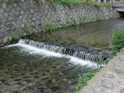 税理士法人松野茂是利子事務所尼崎の税理士が解説：相続税申告・貸付事業用小規模宅地等 | 共有不動産の5棟10室基準 アイキャッチ画像を