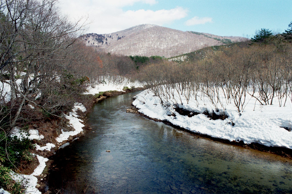 税理士法人松野茂税理士事務所 尼崎の税理士が解説:複数の居住用宅地がある場合の小規模宅地等の特例