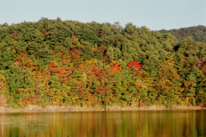松野茂税理士事務所第1回　尼崎の税理士が解説【小規模宅地等の特例とは　　