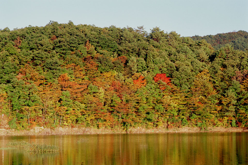 松野茂税理士事務所第1回 尼崎の税理士が解説【小規模宅地等の特例とは