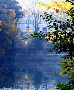 税理士法人松野茂税理事務所　10回【税理士が解説】小規模宅地等の特例「家なき子」要件 完全解説Q&A