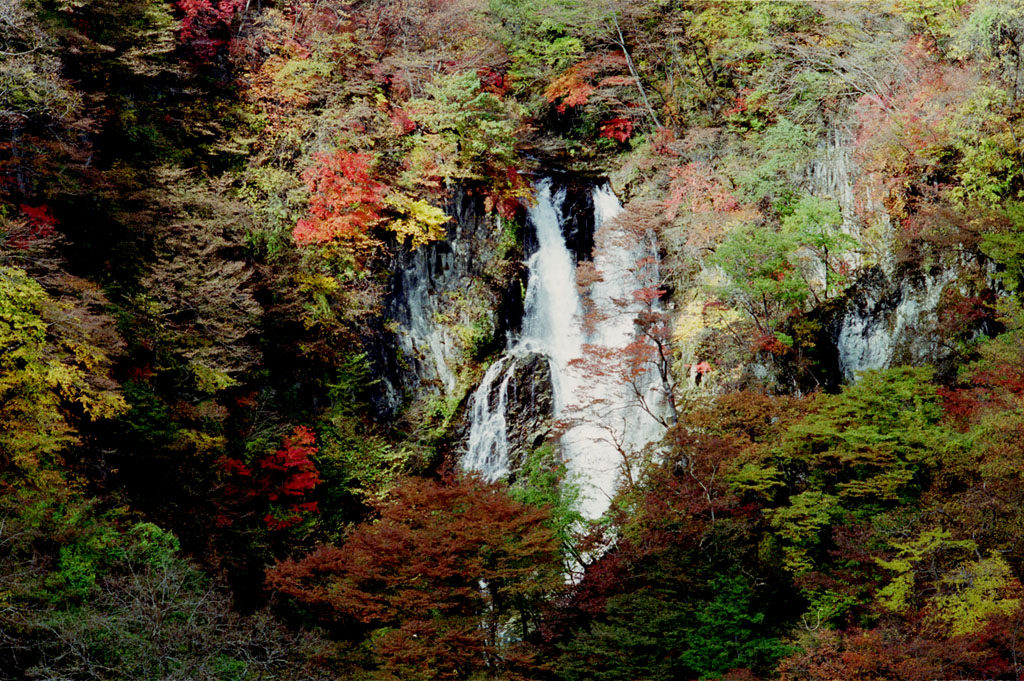 税理士法人松野茂税理士事務所 4回【尼崎の税理士が解説】老人ホーム入居と居住用財産の3,000万円控除