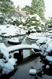 税理士法人松野茂是利子事務所　尼崎の税理士が解説：小規模宅地等の特例「貸付事業用宅地等」の実務