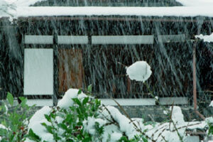 税理士法人松野茂税理士事務所尼崎の税理士が解説 | 特定同族会社事業用宅地等の特例完全ガイド