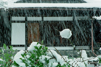 税理士法人松野茂税理士事務所尼崎の税理士が解説 | 特定同族会社事業用宅地等の特例完全ガイド