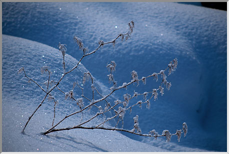 税理士法人松野茂税理士事務所 6回 【尼崎の税理士が解説】3,000万円特別控除|貸付・取壊し・配偶者退去の「緩和規定」と家付き売却の安全策 第3回説明の追加 Q&A