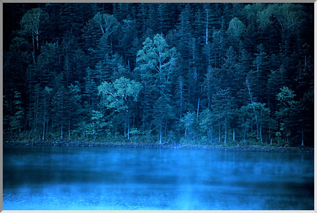 税理士法人松野茂税理士事務所 尼崎の税理士が解説 | 空き家特例「生活の本拠」完全ガイド 相続関連