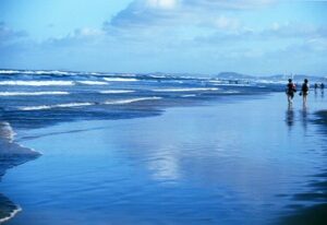 税理士法人松野茂是利子事務所　１２回【税理士が解説】相続税の申告遅れと小規模宅地等の特例｜期限後でも適用できる？