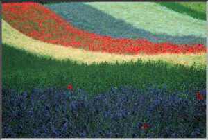 税理士法人松野茂税理士事務所 28回 尼崎の税理士が解説 | 空き家特例における要介護認定