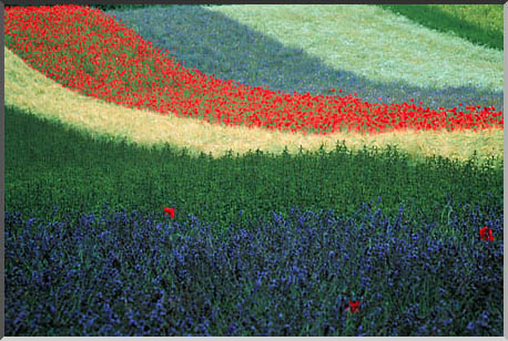 税理士法人松野茂税理士事務所 28回 尼崎の税理士が解説 | 空き家特例における要介護認定