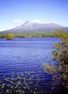 尼崎の松野茂税理士事務所　】老人ホーム入居後も小規模宅地等の特例は使える