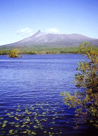 尼崎の松野茂税理士事務所 】老人ホーム入居後も小規模宅地等の特例は使える