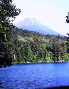 松野茂税理士事務所　【特定居住用宅地等の取得者別要件】