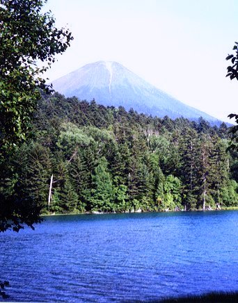 松野茂税理士事務所 【特定居住用宅地等の取得者別要件】