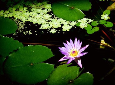 【2025年最新版】税務調査の連絡が来たらすぐやるべきこと｜尼崎の税理士が準備から解決まで徹底解説