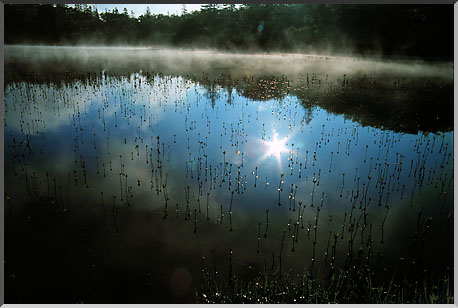 税理士法人松野茂税理士事務所　海外実習生の社宅負担を求めない場合の課税関係について アイキャッチ画像を設定