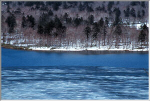 税理士法人松野茂税理士事務所　３１回【尼崎の税理士が解説】空き家特例が使えない！譲渡先の落とし穴「特別な関係がある者」とは | 相続関連