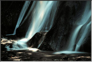 5回【専門家向け】空き家特例・居住用3,000万円控除・小規模宅地特例の法令比較