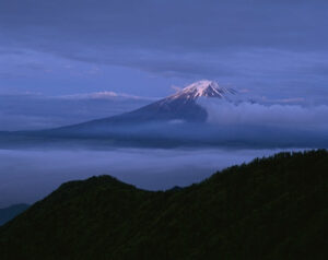 受け皿会社は一般社団法人の設立が一番簡単しかし否認事例がありリスク回避が必要 | 尼崎の税理士法人が解説