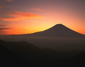 グループ法人税制（100％グループ内資産譲渡）と合併時の「譲渡損益の繰延」取扱い 尼崎の税理士法人が解説