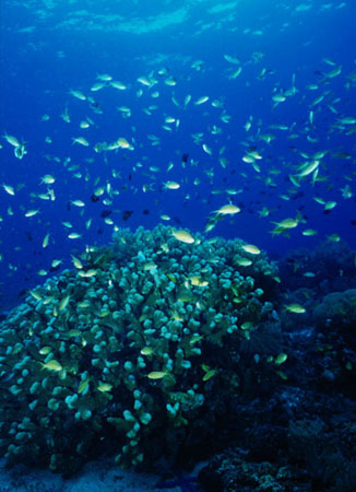 税理士婦人松野茂税理士事務所