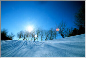 税理士法人松野【税理士解説】分割型吸収分割で不動産を無税移転｜M&A前の組織再編で4.2億円節税した実例 | 税理士法人松野茂税理士事務所茂税理士事務所　