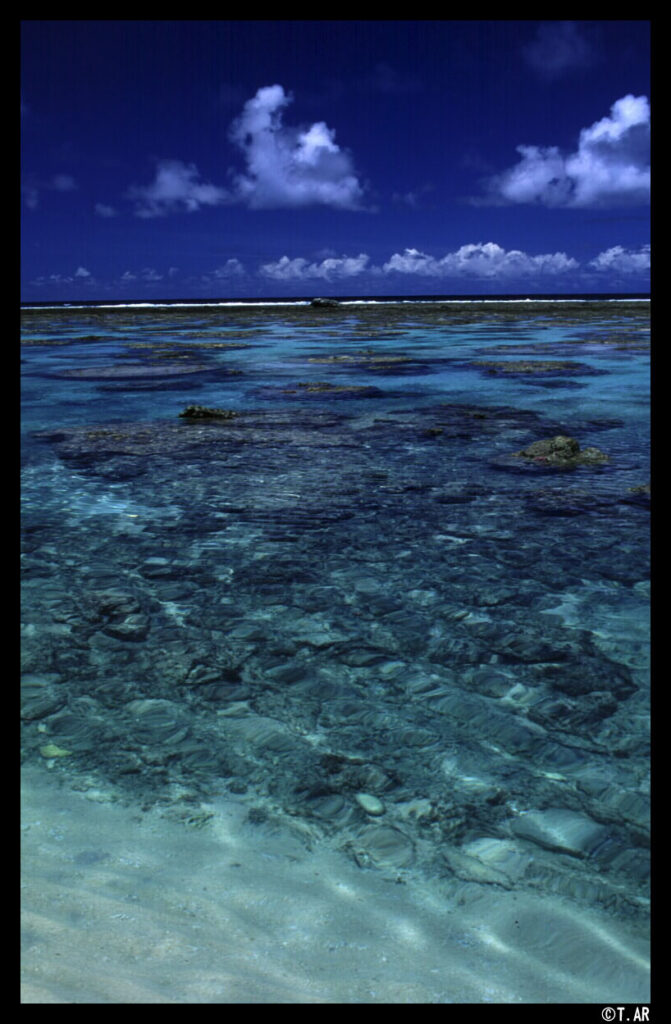 理士法人松野税理士事務所  グローバル Web アイコン vasteculture.com https://www.vasteculture.com ヴァスト・キュルチュール株式会社