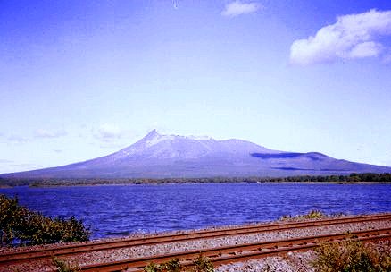 税理士法人松野茂税理士事務所　【スタッフ向け実務解説】適格合併の別表調整をマスターしよう！