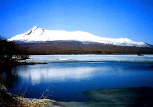 中小企業経営者必見！有償ストックオプションと従業員持株会の違いを税理士が解説