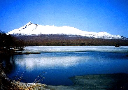 中小企業経営者必見！有償ストックオプションと従業員持株会の違いを税理士が解説