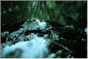 社債類似株式と従業員持株会用株式の決定的な違い ― 税理士が教える安全な設計実務