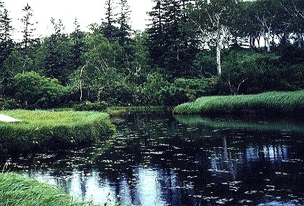 税理士法人松野茂税理士事務所　完全支配関係がない場合の会社清算における貸付金処理の実務【尼崎の税理士法人の実例】2回目