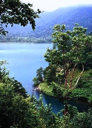 特定の一般社団法人等に対する相続税の課税制度　税理士が解説