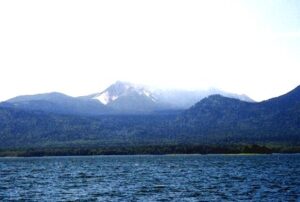 税理士法人松野茂税理士事務所　遺言により５％未満の議決権割合になるように分散させた場合の配当還元法の可否判断　相続対策　M&A　７回目　税理士法人松野茂税理士事務所