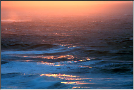 税理士法人松野茂税理士事務所 5回 役員の定期同額給与と現物給与の関係 ~福利厚生費との境界を明確に~