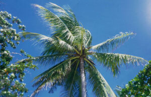 不動産M&Aの税金対策｜株式譲渡と会社分割のメリット・デメリットを税理士法人松野茂税理士事務所が解説　M&A ３回目