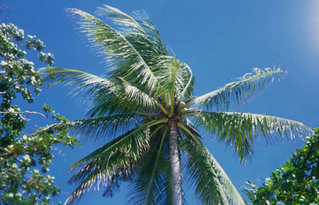 不動産M&Aの税金対策｜株式譲渡と会社分割のメリット・デメリットを税理士法人松野茂税理士事務所が解説　M&A ３回目