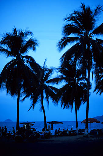 仲介会社を使わない一人でM&Aする場合の実践的アドバイス ~事業譲渡が最適解である理由~ M&A3回目 尼崎の税理士法人松野茂税理士事務所