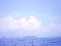 会社規模による非上場株式の評価と合併による株価引き下げ対策