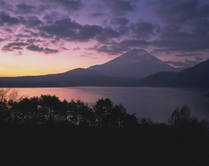 【会社分割】及び【株式移転+会社分割】・【株式交換】による株価の引き下げ効果 |尼崎の税理士法人による解説