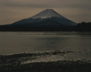 税理士法人松野茂税理士事務所　22回【相続税対策】家なき子特例｜親族経営会社の判定方法｜尼崎の税理士法人が解説