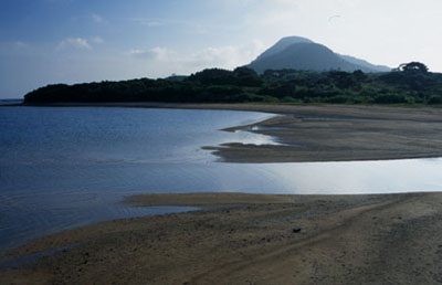 税理士法人松野茂税理士事務所　特定同族会社事業用宅地の特例を徹底解説！ よくある8つのケースをQ&A形式で