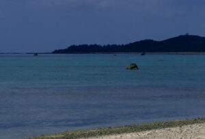 第3号被保険者の収入要件130万円を超えたら事業主の証明で救済される可能性 | 尼崎の税理士が解説