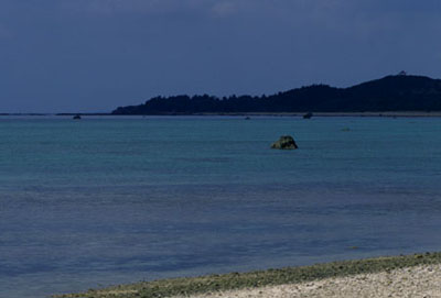 第3号被保険者の収入要件130万円を超えたら事業主の証明で救済される可能性 | 尼崎の税理士が解説